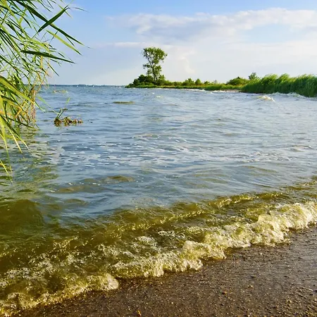 شقة In Auf Usedom Mohnblume Am Achterwasser *