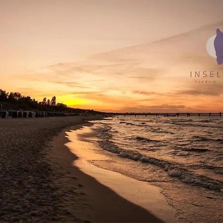 In Auf Usedom Mohnblume Am Achterwasser * Lutow